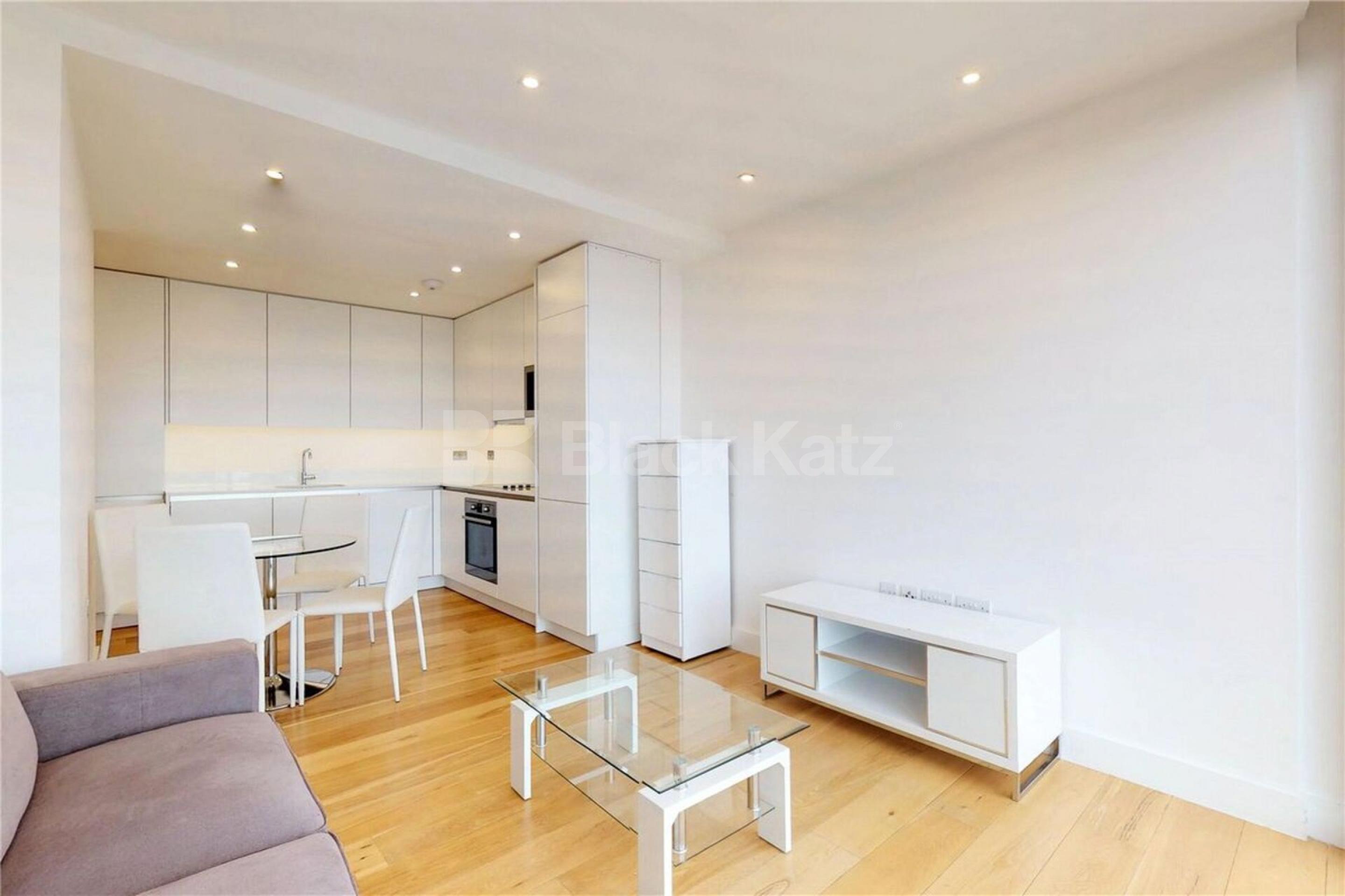Stunning stylish 1 bed property with large roof terrace Plumbers Row, Aldgate / Whitechapel  E1